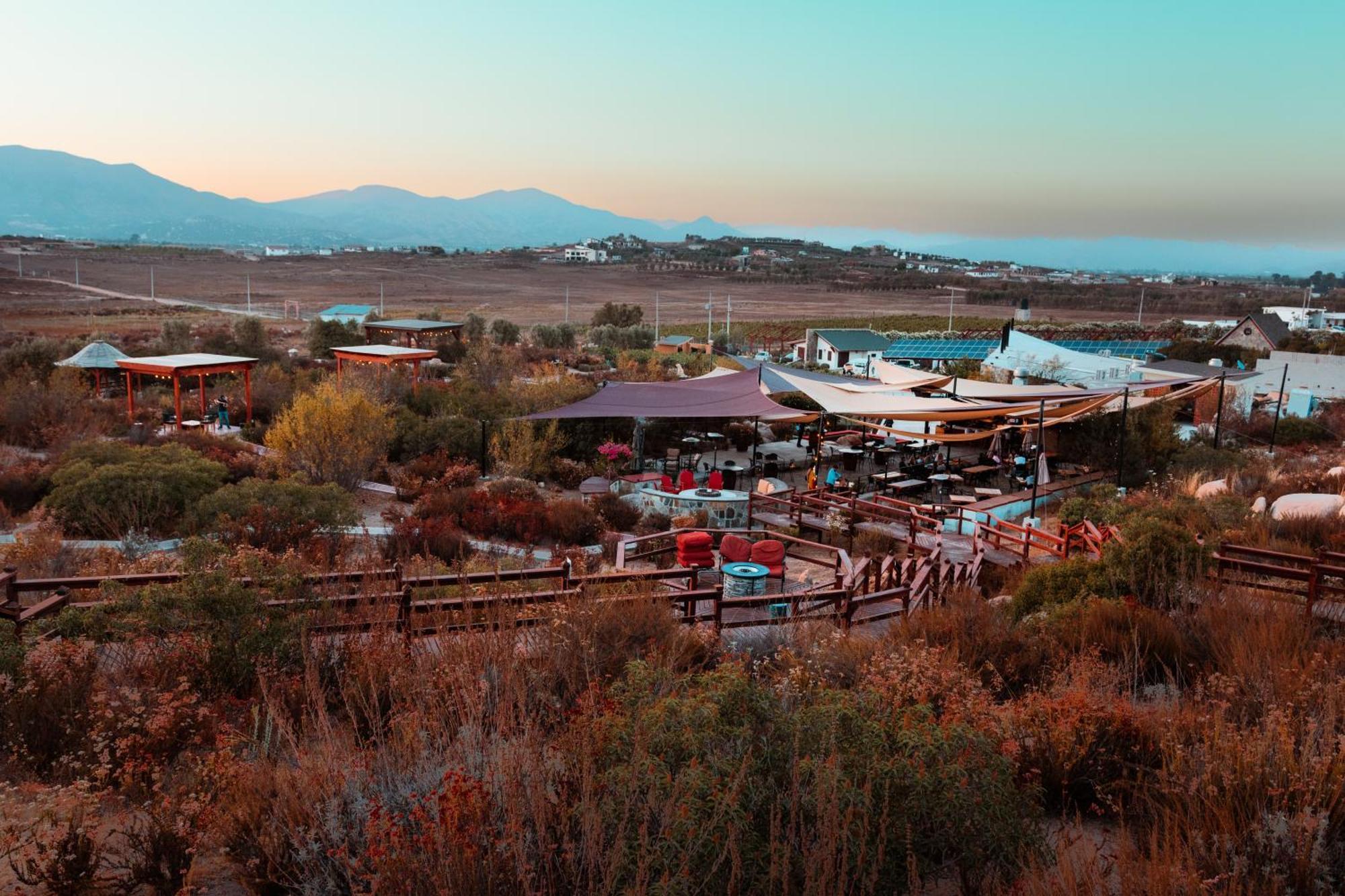 Contemplacion Resort & Spa Valle de Guadalupe Ngoại thất bức ảnh