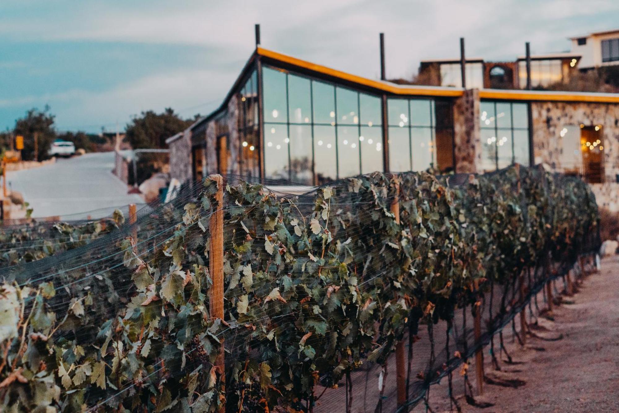Contemplacion Resort & Spa Valle de Guadalupe Ngoại thất bức ảnh