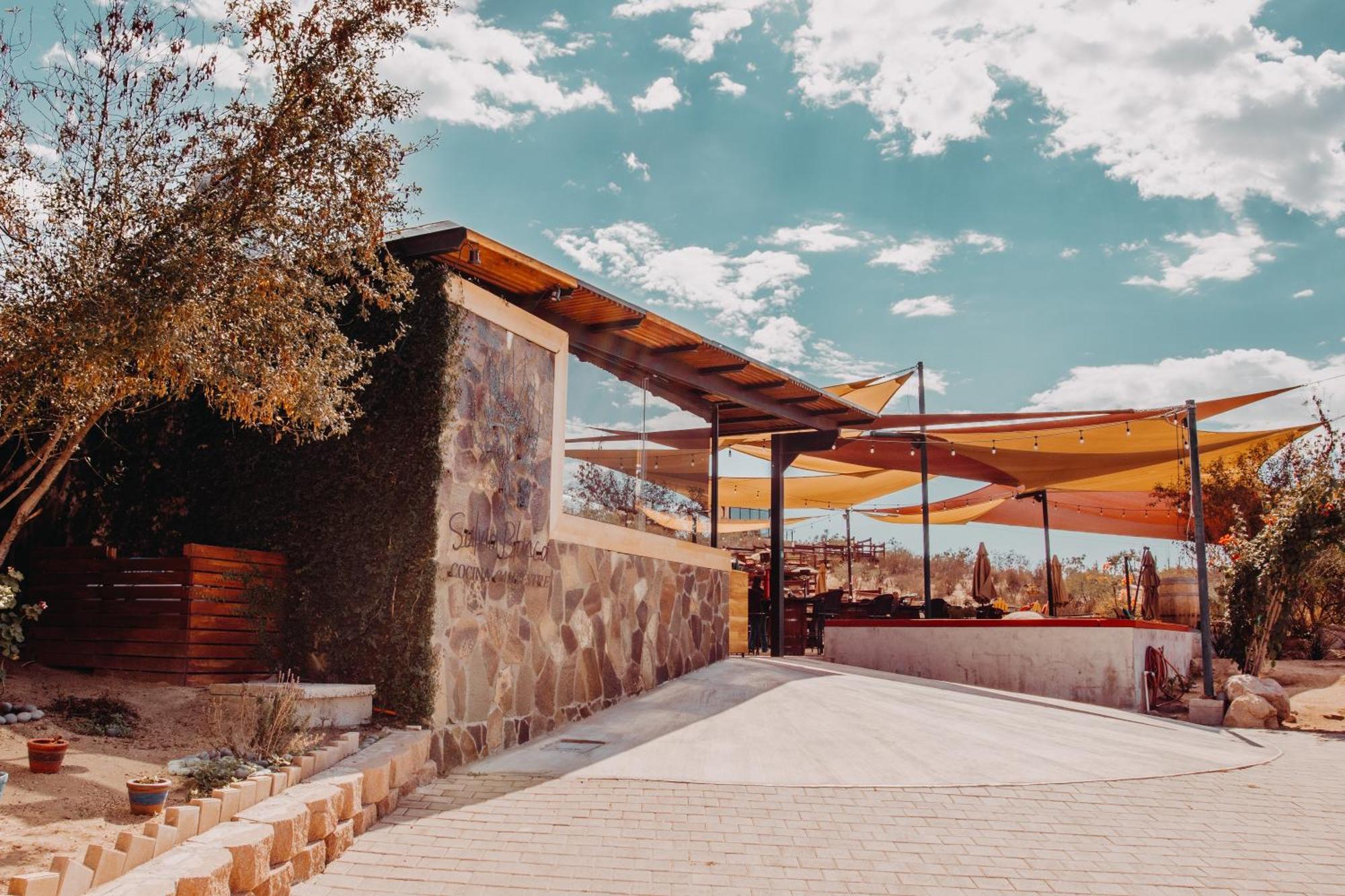 Contemplacion Resort & Spa Valle de Guadalupe Ngoại thất bức ảnh
