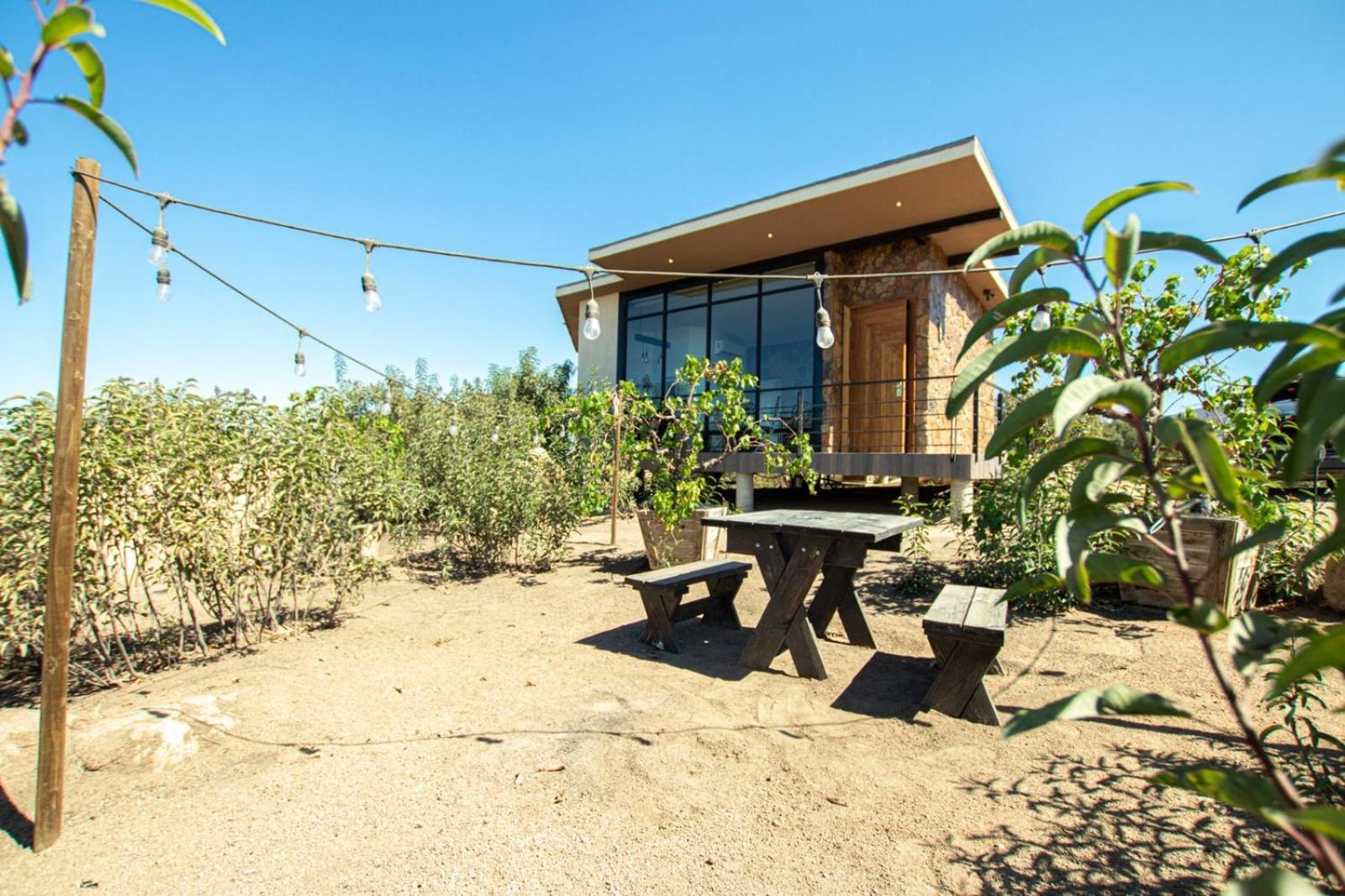 Contemplacion Resort & Spa Valle de Guadalupe Ngoại thất bức ảnh