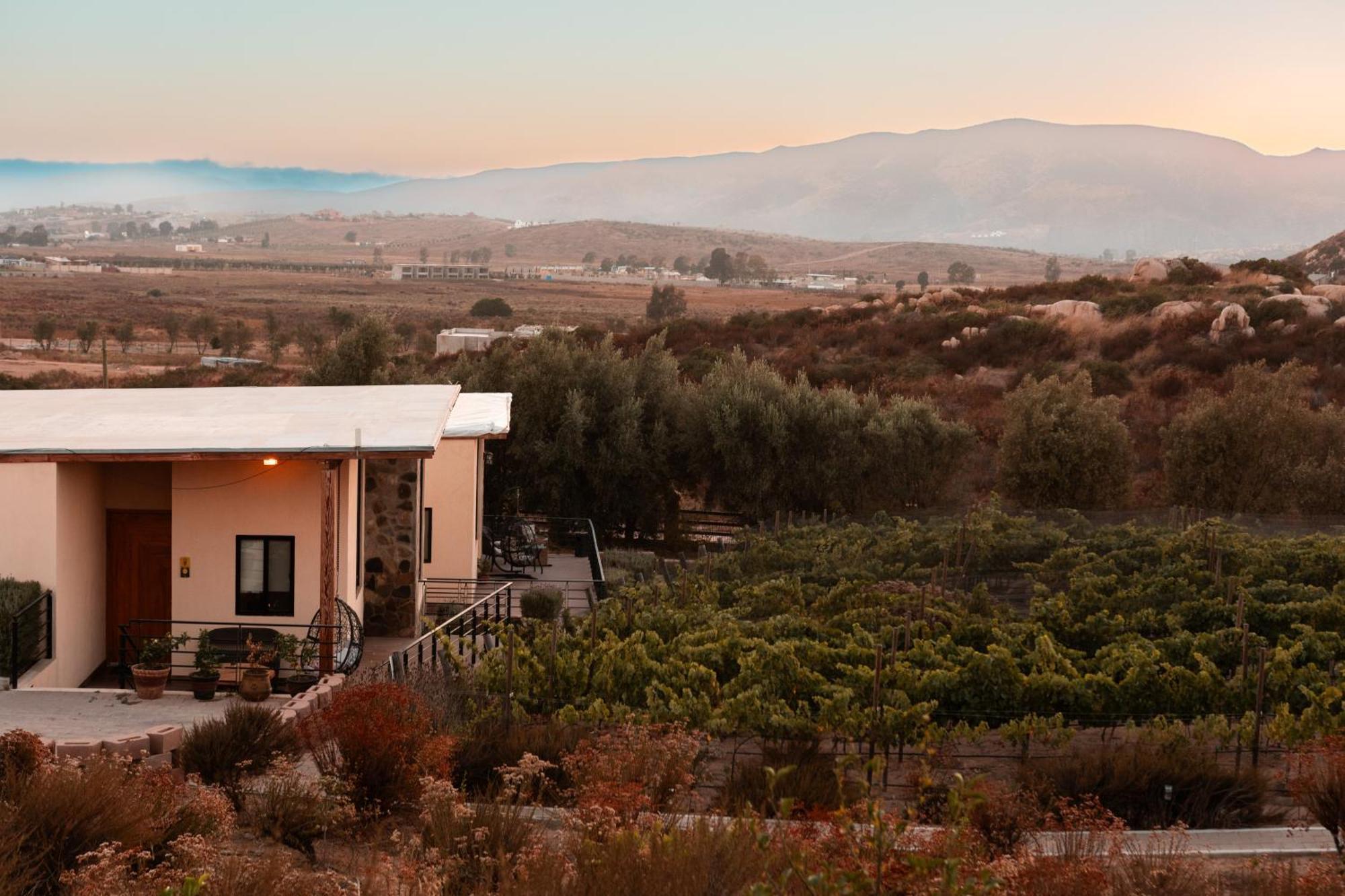 Contemplacion Resort & Spa Valle de Guadalupe Ngoại thất bức ảnh
